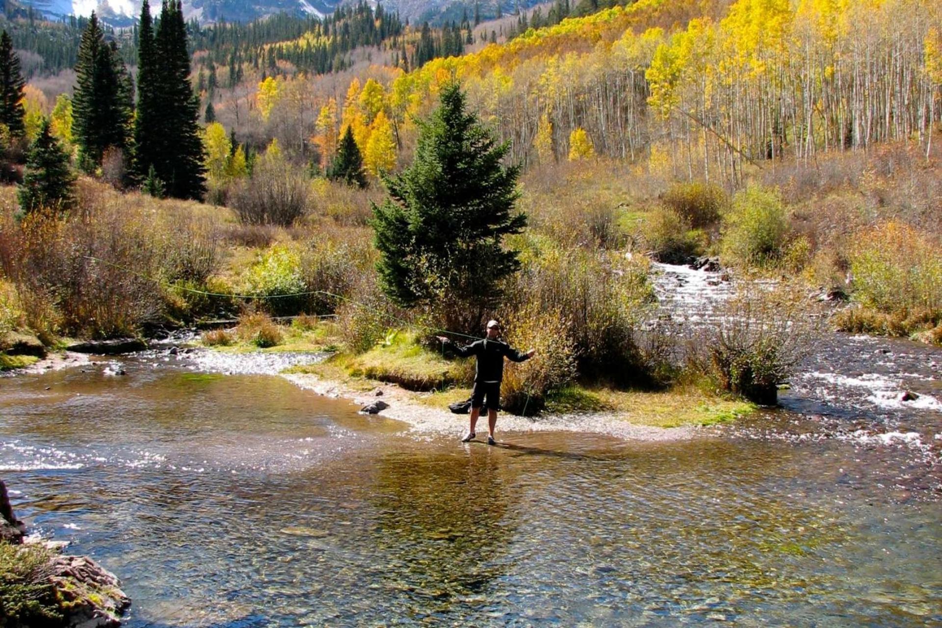 Chaparral Aspen Ranch Cabin Woody Creek Exterior foto